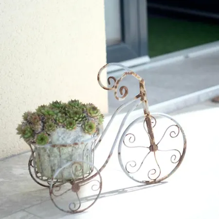 Zara Villa *
